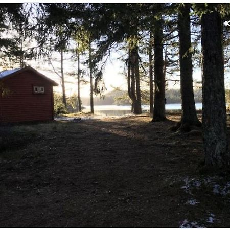 Cabin In The Woods, Lolandsvannet Near Kristiansand 베네슬라 외부 사진