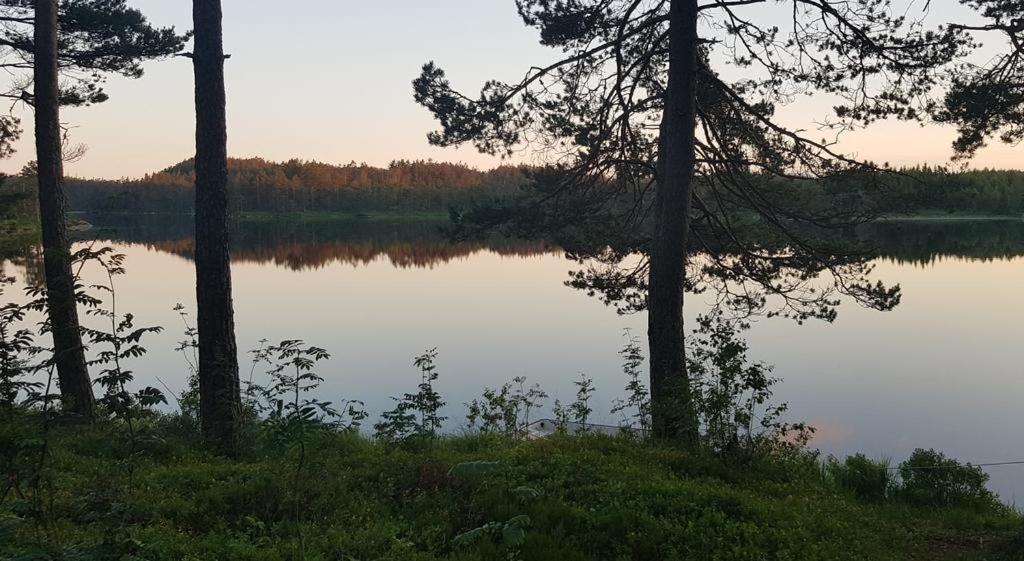 Cabin In The Woods, Lolandsvannet Near Kristiansand 베네슬라 외부 사진