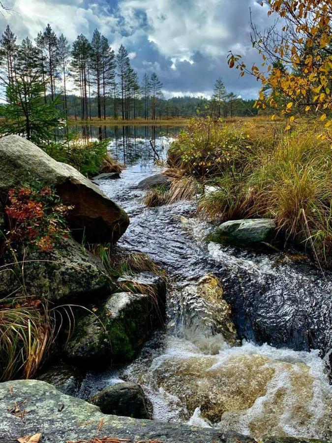 Cabin In The Woods, Lolandsvannet Near Kristiansand 베네슬라 외부 사진