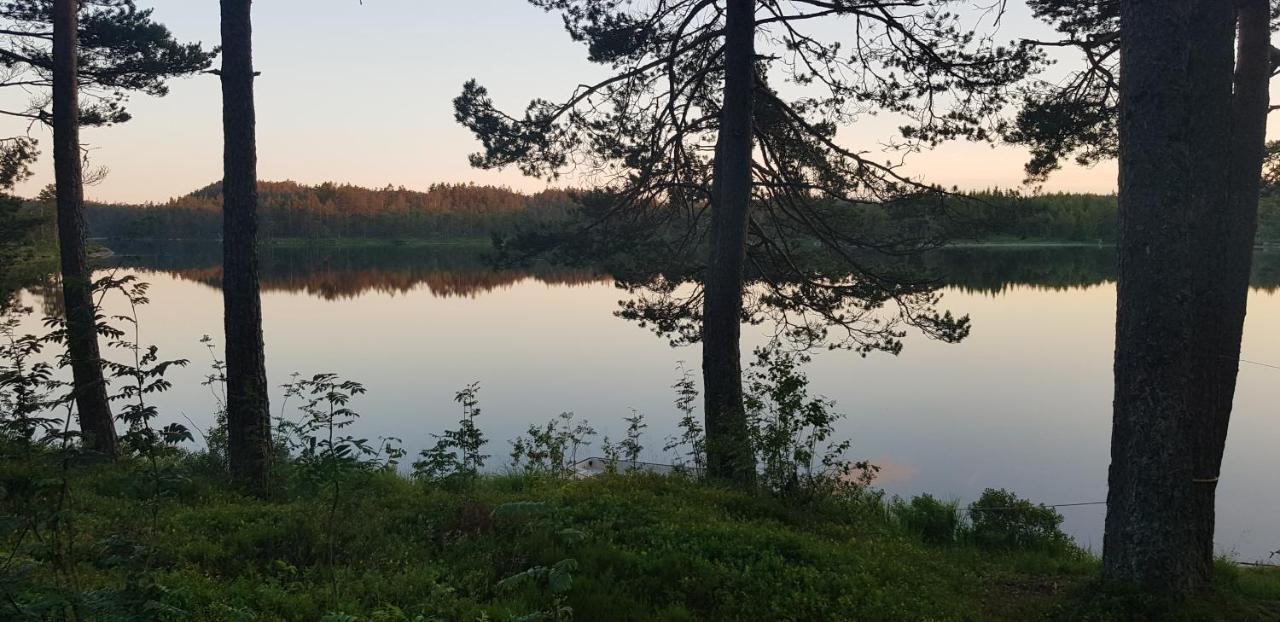 Cabin In The Woods, Lolandsvannet Near Kristiansand 베네슬라 외부 사진