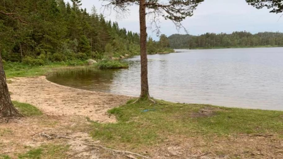 Cabin In The Woods, Lolandsvannet Near Kristiansand 베네슬라 외부 사진